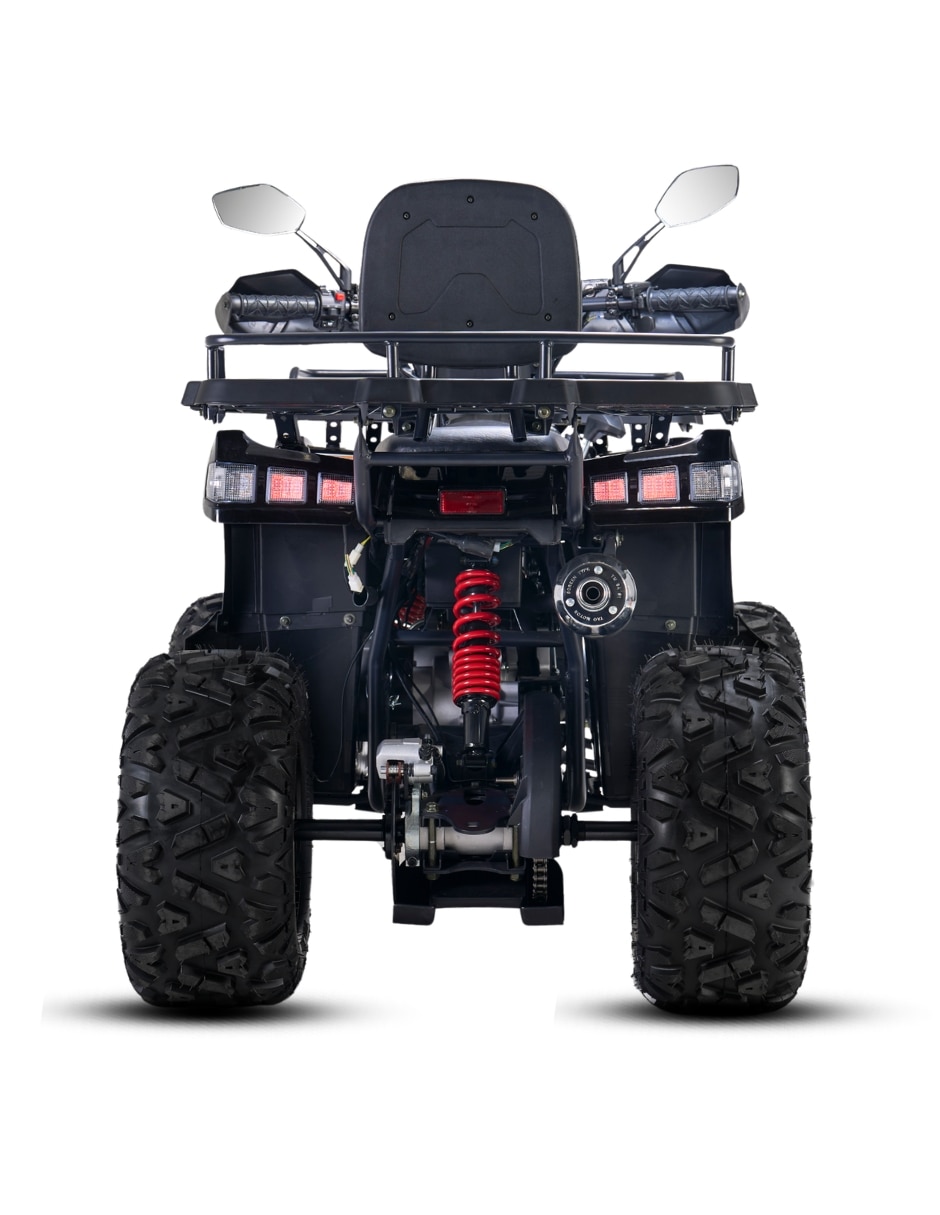 Cuatrimoto ATV Warrior 200 2026 3