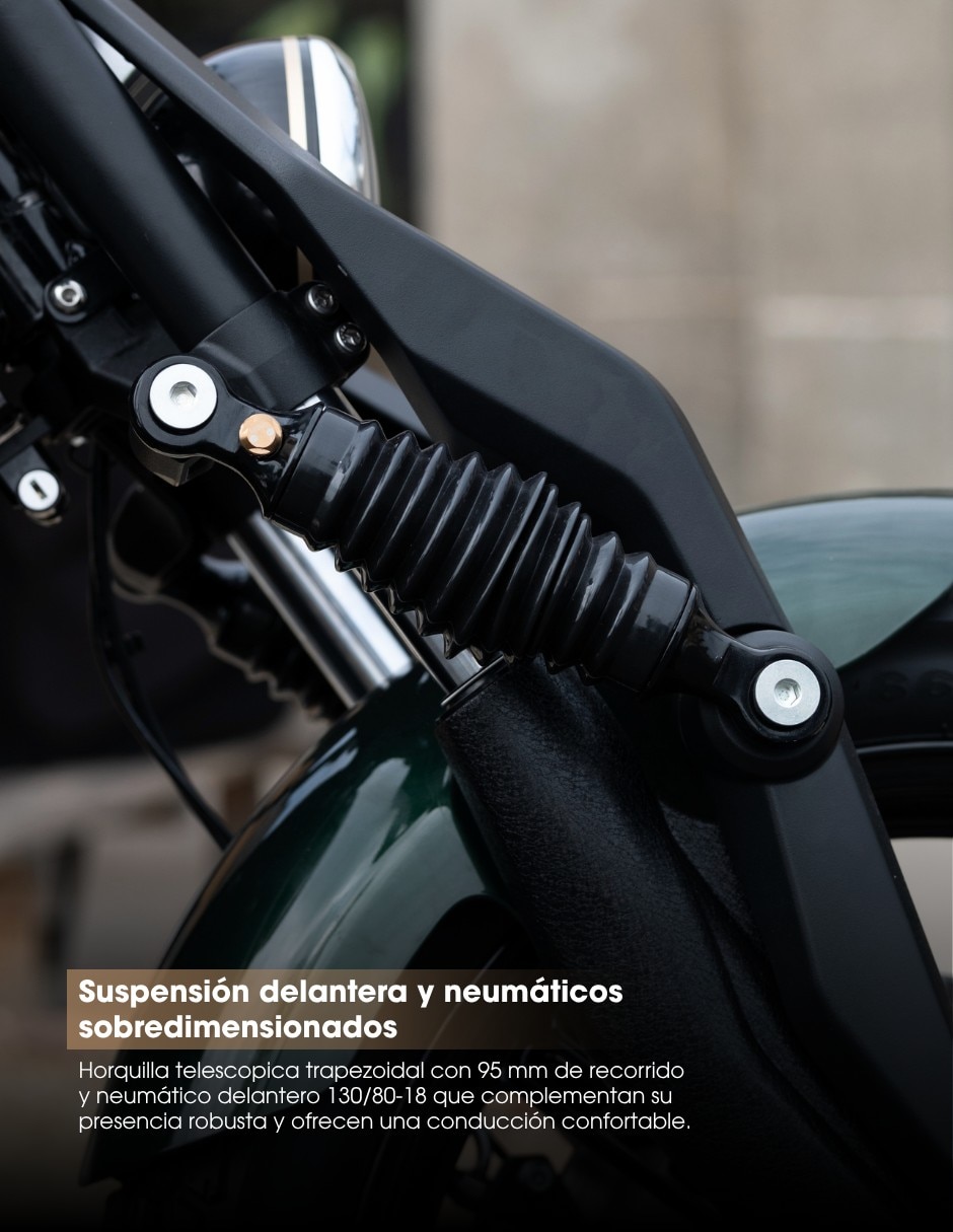 Motocicleta chopper napoleonbob 250 2026 8