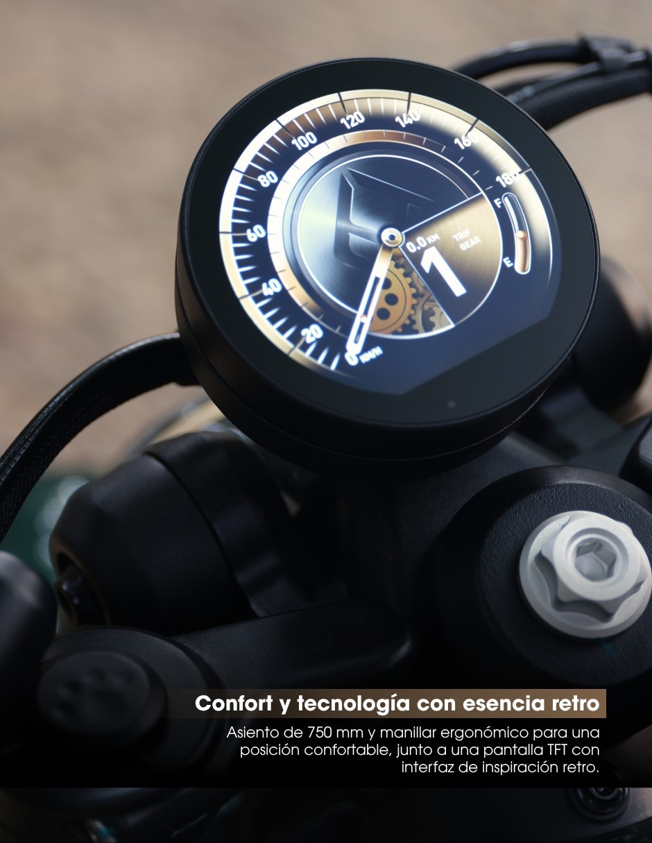 Motocicleta chopper napoleonbob 250 2026 4