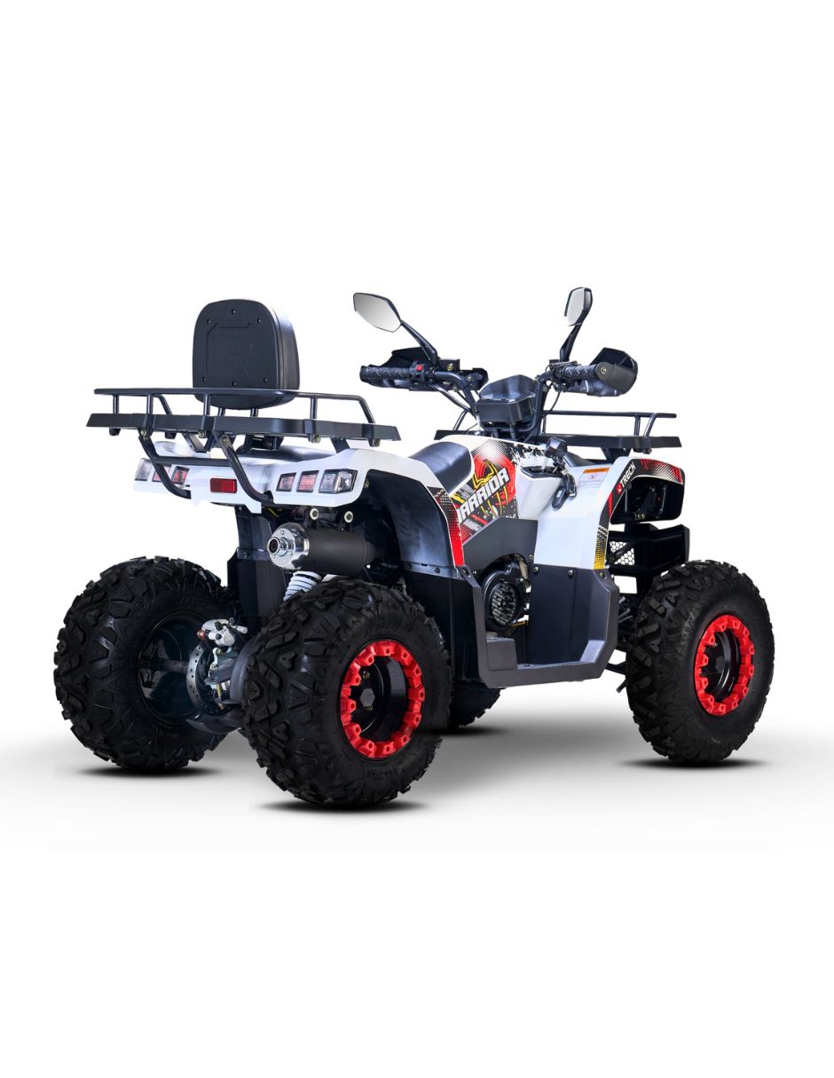 Cuatrimoto ATV Warrior 200 2026 4
