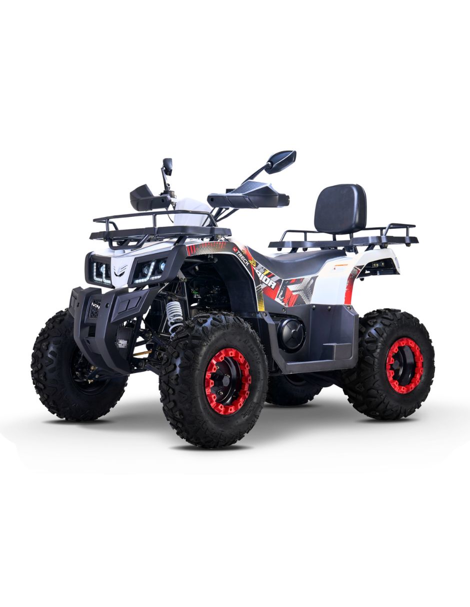 Cuatrimoto ATV Warrior 200 2026 12